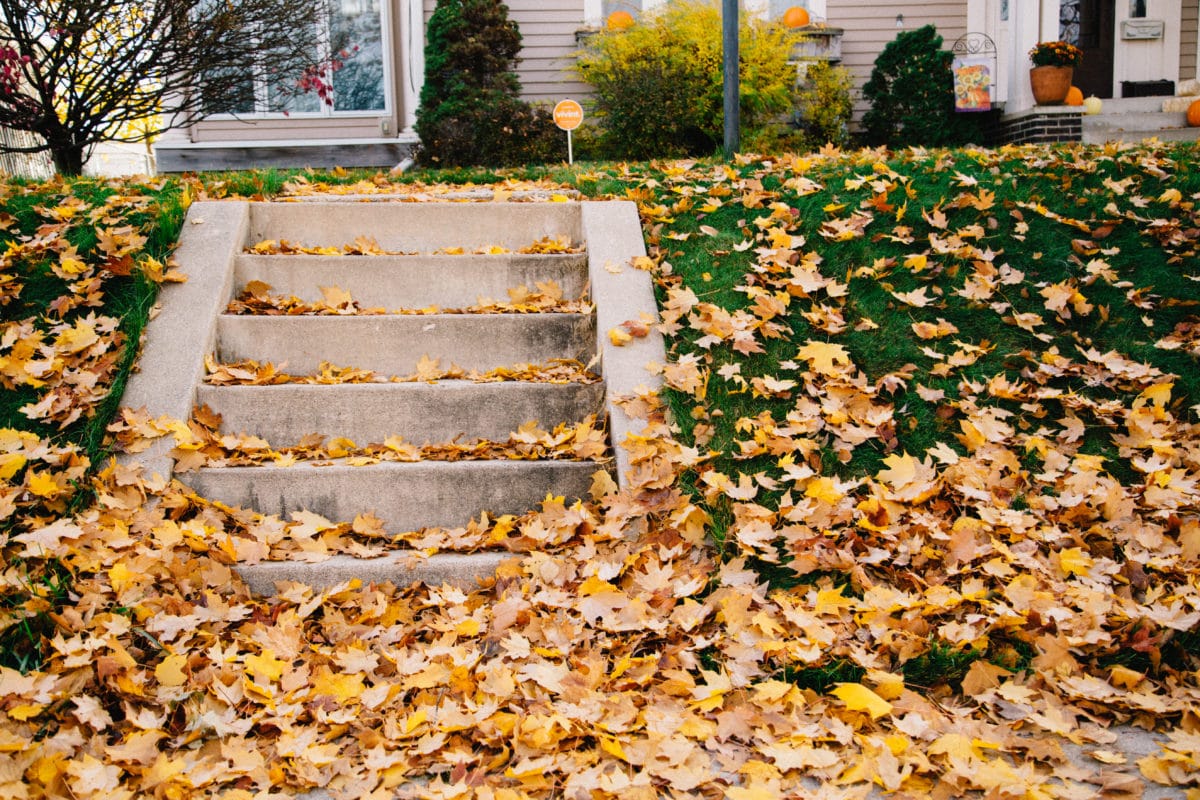 The Fall Season brings several challenges to homeowners in the Kansas City area.